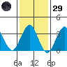 Safe Harbor tide chart for Wednesday, January 29, 2025