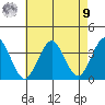 Safe Harbor tide chart for Saturday, August 9, 2025