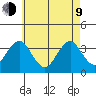 Safe Harbor tide chart for Saturday, May 9, 2026