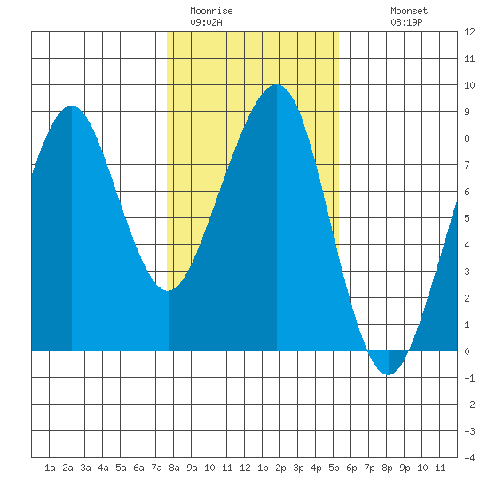 Westport tide chart for Friday, January 31, 2025