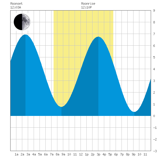 Whale Branch entrance tide chart for Sunday, January 9, 2022
