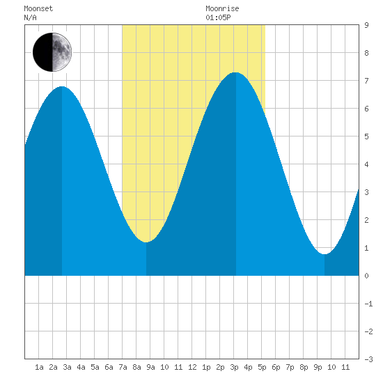 Whale Branch entrance tide chart for Friday, November 28, 2025