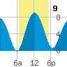 Whale Branch entrance tide chart for Sunday, November 9, 2025