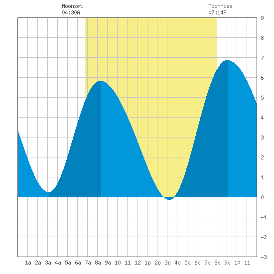 Willtown Bluff tide chart for Friday, August 20, 2021