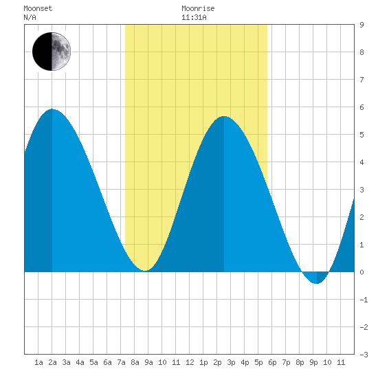Willtown Bluff tide chart for Wednesday, January 17, 2024