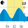 Willtown Bluff tide chart for Monday, August 12, 2024
