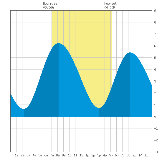 Willtown Bluff tide chart for Friday, November 29, 2024
