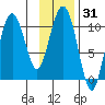 Windy Bay tide chart for Friday, January 31, 2025