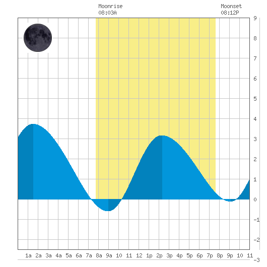 Withlacoochee River tide chart for Sunday, March 10, 2024