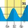 Young Bay tide chart for Wednesday, May 31, 2023