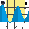 Young Bay tide chart for Wednesday, August 16, 2023