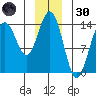 Young Bay tide chart for Monday, December 30, 2024