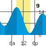 Young Bay tide chart for Thursday, January 9, 2025