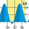 Young Bay tide chart for Tuesday, August 12, 2025