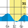 Zapadni Bay tide chart for Thursday, August 31, 2023