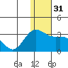 Zapadni Bay tide chart for Sunday, December 31, 2023