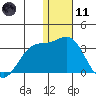 Zapadni Bay tide chart for Thursday, January 11, 2024