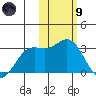 Zapadni Bay tide chart for Friday, February 9, 2024