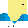 Zapadni Bay tide chart for Thursday, August 1, 2024