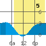 Zapadni Bay tide chart for Tuesday, August 5, 2025