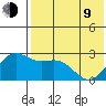 Zapadni Bay tide chart for Saturday, May 9, 2026