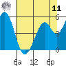 Brazos tide chart for Wednesday, June 11, 2025