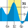 Brazos tide chart for Saturday, January 31, 2026