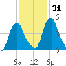 Albany tide chart for Friday, January 31, 2025