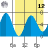 Albatross Anchorage tide chart for Saturday, April 12, 2025