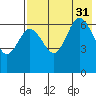 Albatross Anchorage tide chart for Thursday, July 31, 2025