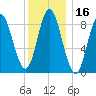 Burnt Coat Harbor tide chart for Thursday, January 16, 2025