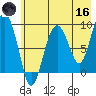 Camp Cove tide chart for Saturday, May 16, 2026