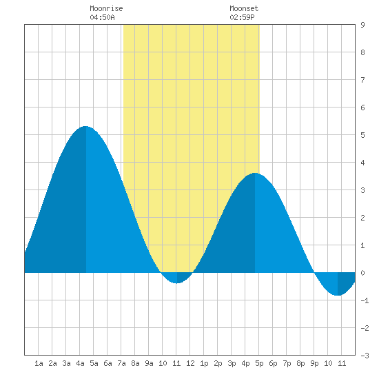 Bight tide chart for Friday, December 31, 2021
