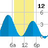 Bight tide chart for Thursday, December 12, 2024