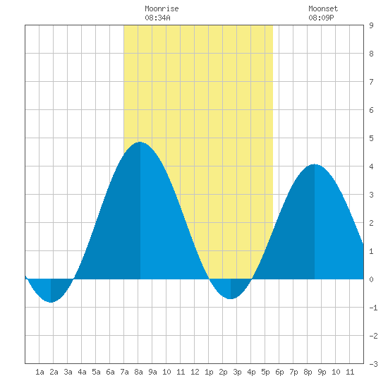 Bight tide chart for Friday, January 31, 2025