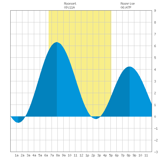 Bight tide chart for Friday, November 7, 2025