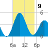 Bight tide chart for Sunday, November 9, 2025