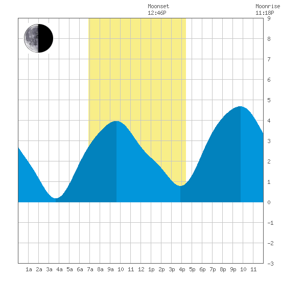 Castleton tide chart for Friday, November 22, 2024