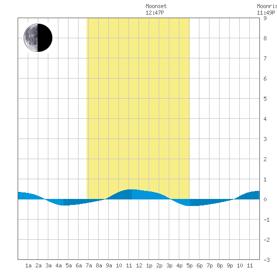  tide chart for Friday, November 22, 2024