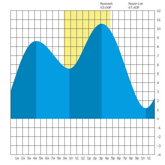 Chance Cove tide chart for Sunday, November 13, 2022