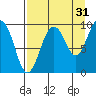 Chance Cove tide chart for Saturday, August 31, 2024