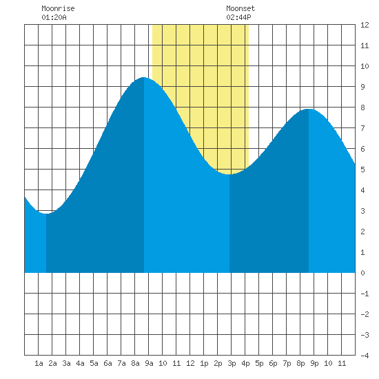 Chance Cove tide chart for Sunday, November 24, 2024