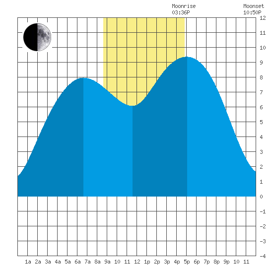 Chance Cove tide chart for Friday, November 8, 2024