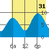 Chance Cove tide chart for Thursday, July 31, 2025