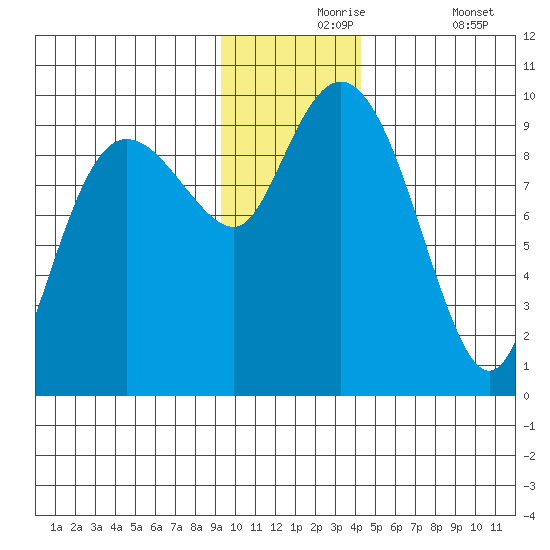 Chance Cove tide chart for Tuesday, November 25, 2025
