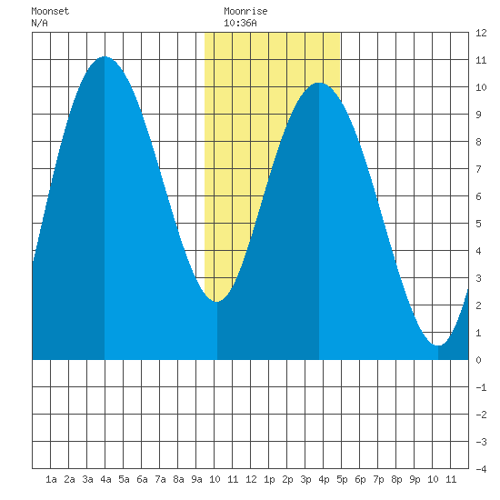 Chance Cove tide chart for Friday, January 23, 2026