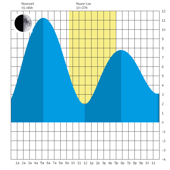 Chance Cove tide chart for Sunday, January 25, 2026