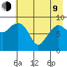 Chance Cove tide chart for Saturday, May 9, 2026