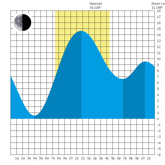 Allyn tide chart for Friday, November 22, 2024