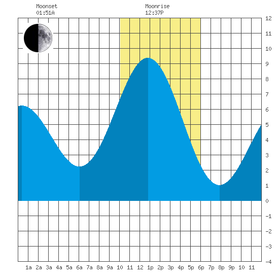 Amak Island tide chart for Wednesday, January 17, 2024